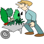 Casual's Garden
