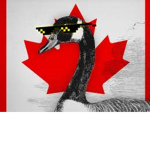 Goose Forces