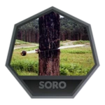 caption=Badge