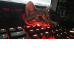 Ｋｒｘｔｉｃ