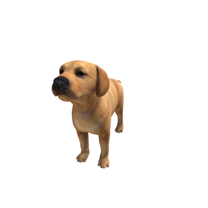 [🐾] Dog