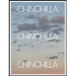 Aesthetic_ girls group