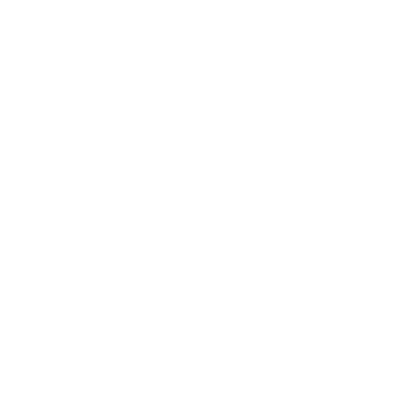 White Shield Icon