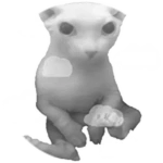 Cloud Bingus