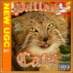 Pallas' Cats Group Thumbnail