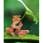 FroggyRihanna