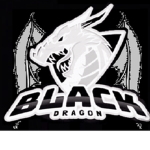 BlackDragonOfficalGroup