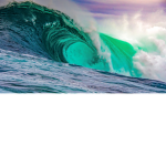 SurfingIstheBest