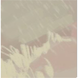 ☆