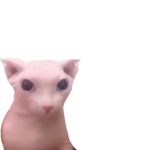 britneys kats