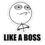 =Like a Boss=