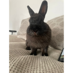 Binky is god the group