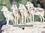 Bluey group of art