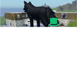wolf school