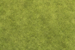 PFG Bacon Leaks