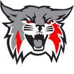 WILDCATS 77