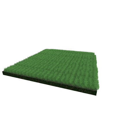 Grass