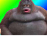 Epik people gang