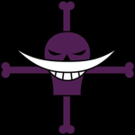 TheWhiteBeard Pirates