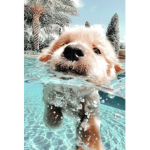 awh..bubbly