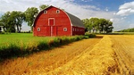 farmer joes farm