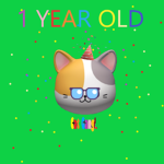 Official Cat Gang!