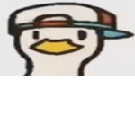 Team ##### Duck