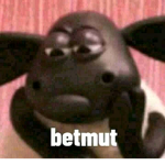 ihyaa