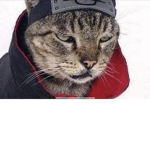 The Catski