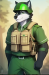 Furry milatary :3