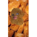 Live chicken nuggies