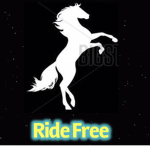 Western ridding club