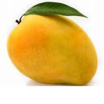 rebell ious mango fanz