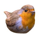 Little Red Bird