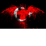 Warriors Of Turkey
