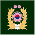 [SKA] South Korea Army 1960's