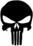 punisher group
