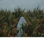 The lonely ghost