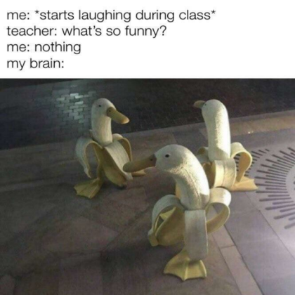 Funny meme Roblox decal