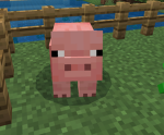 Timmy Bob Alliance