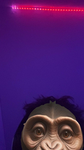 / S U M M E R \