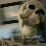 skateb0rde