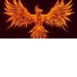 fire birds clan