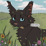 -|IvyClan|-