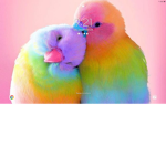 Have lot