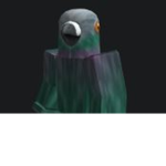 Government's Pigeons
