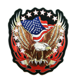 Society for Veterans Affairs