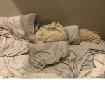 bedNation