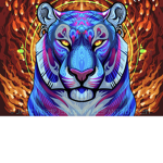 The tigers123