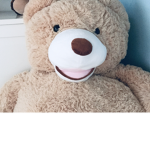 ~The Bears army~